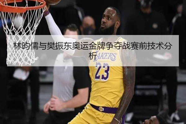 林昀儒与樊振东奥运金牌争夺战赛前技术分析